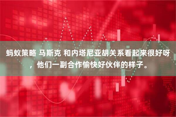 蚂蚁策略 马斯克 和内塔尼亚胡关系看起来很好呀，他们一副合作愉快好伙伴的样子。
