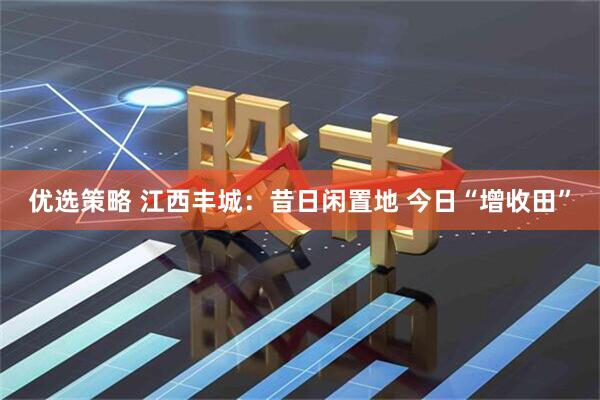 优选策略 江西丰城：昔日闲置地 今日“增收田”