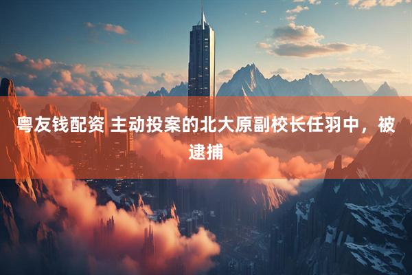 粤友钱配资 主动投案的北大原副校长任羽中，被逮捕