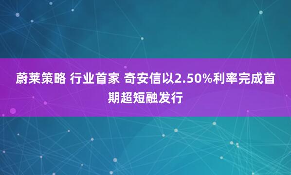 蔚莱策略 行业首家 奇安信以2.50%利率完成首期超短融发行