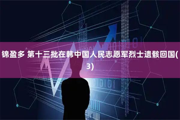锦盈多 第十三批在韩中国人民志愿军烈士遗骸回国(3)