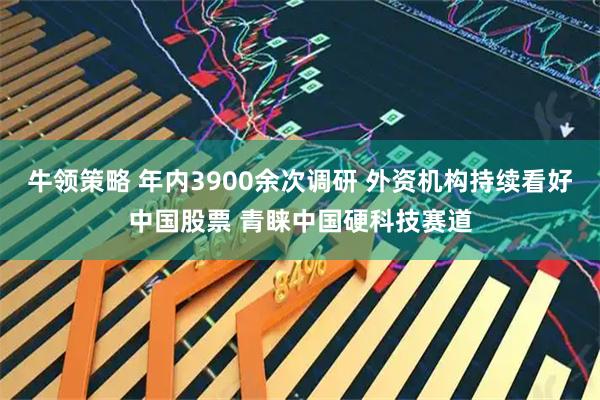 牛领策略 年内3900余次调研 外资机构持续看好中国股票 青睐中国硬科技赛道