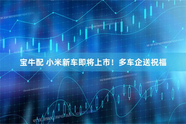 宝牛配 小米新车即将上市!多车企送祝福