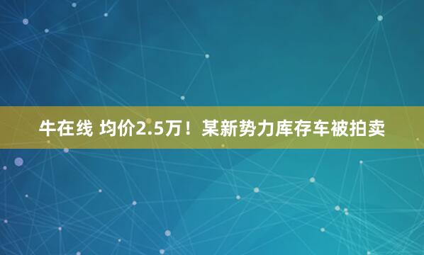 牛在线 均价2.5万！某新势力库存车被拍卖