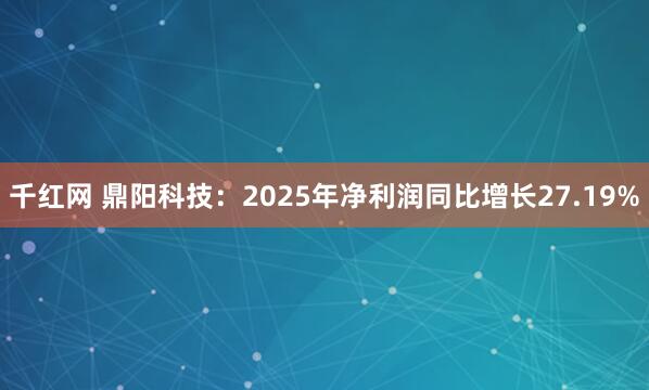千红网 鼎阳科技：2025年净利润同比增长27.19%
