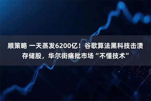 顺策略 一天蒸发6200亿！谷歌算法黑科技击溃存储股，华尔街痛批市场“不懂技术”