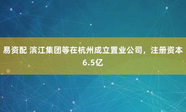 易资配 滨江集团等在杭州成立置业公司，注册资本6.5亿
