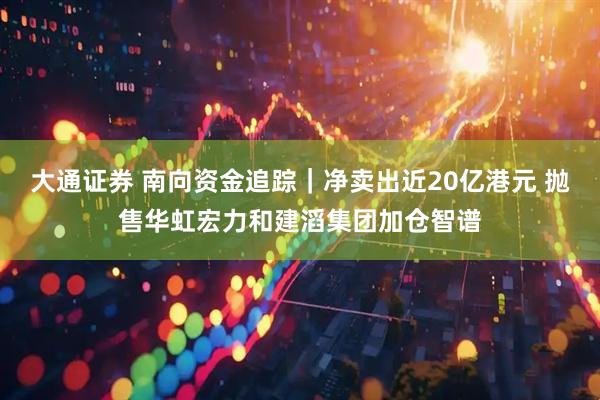 大通证券 南向资金追踪｜净卖出近20亿港元 抛售华虹宏力和建滔集团加仓智谱