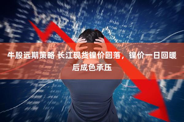 牛股远期策略 长江现货镍价回落，镍价一日回暖后成色承压