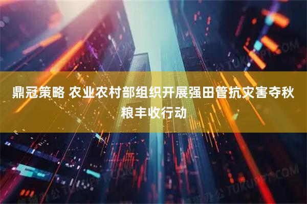 鼎冠策略 农业农村部组织开展强田管抗灾害夺秋粮丰收行动